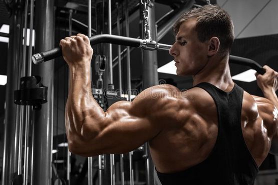 Clenbuterol 50 mcg Cygnus: Acción Farmacológica Clenbuterol 50 mcg Cygnus: Acción Farmacológica